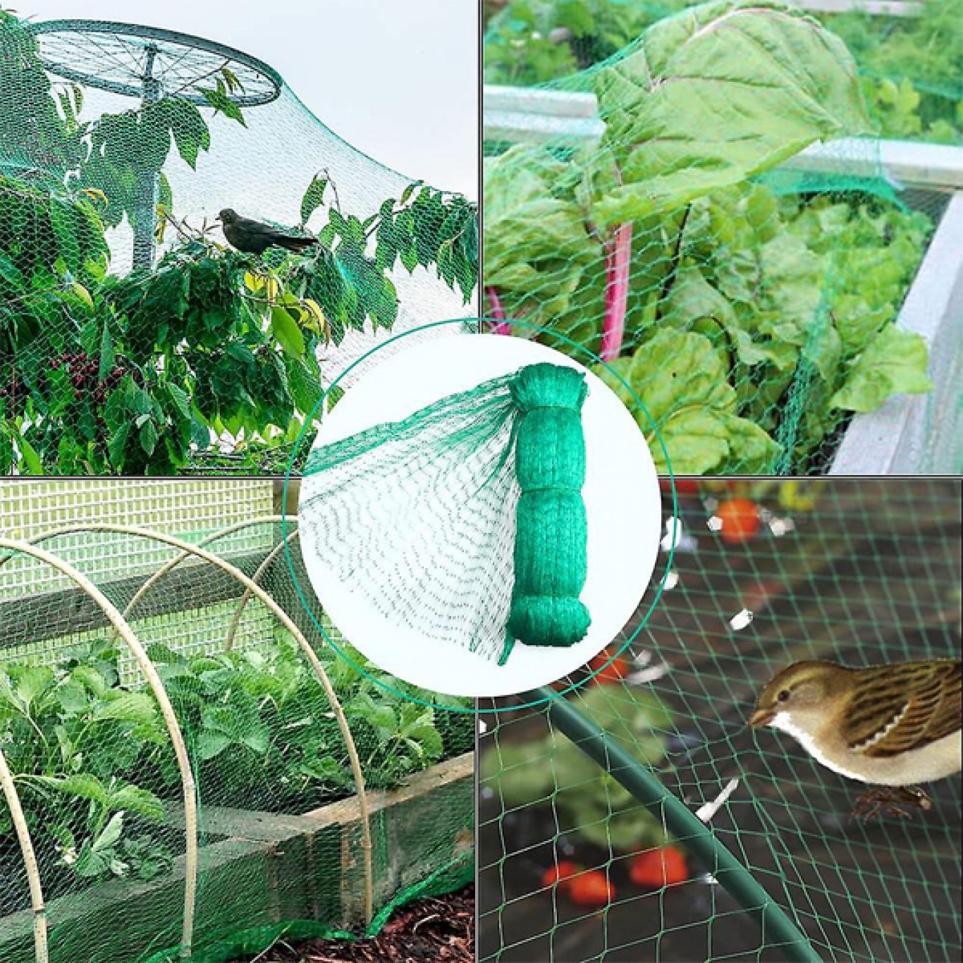 Προστατευτικό Δίχτυ Κήπου για Πτηνά 4x6 m Προστατευτικό Δίχτυ Κήπου για Πτηνά 4x6 m