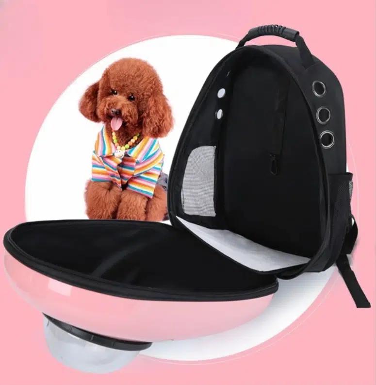 Σακίδιο Πλάτης Μεταφοράς για Σκυλάκια & Γάτες 42x32x29εκ Με Σχέδιο Γατάκι Σακίδιο Πλάτης Μεταφοράς για Σκυλάκια & Γάτες 42x32x29εκ Με Σχέδιο Γατάκι