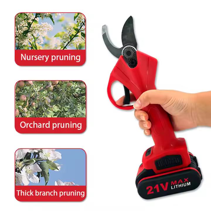 Σετ 3 σε 1 Αλυσοπρίονο – Ψαλίδι Επαναφορτιζόμενο με Τηλεσκοπικό Κοντάρι 2.2m & 2 Μπαταρίες 48V Σετ 3 σε 1 Αλυσοπρίονο – Ψαλίδι Επαναφορτιζόμενο με Τηλεσκοπικό Κοντάρι 2.2m & 2 Μπαταρίες 48V