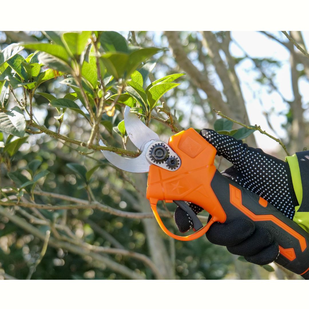 Σετ 3 σε 1 Αλυσοπρίονο – Ψαλίδι Επαναφορτιζόμενο με Τηλεσκοπικό Κοντάρι 2.2m & 2 Μπαταρίες 48V Σετ 3 σε 1 Αλυσοπρίονο – Ψαλίδι Επαναφορτιζόμενο με Τηλεσκοπικό Κοντάρι 2.2m & 2 Μπαταρίες 48V