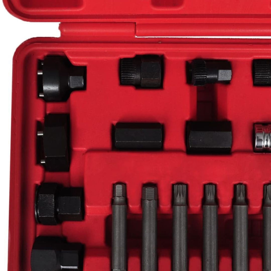 Σετ Εργαλείων Αφαίρεσης Τροχαλίας Δυναμό 22τμχ Σετ Εργαλείων Αφαίρεσης Τροχαλίας Δυναμό 22τμχ