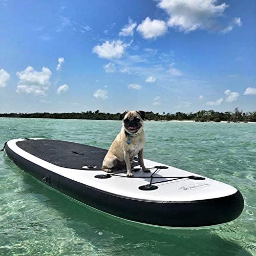 Φουσκωτή Σανίδα SUP 10 Ft με Αντοχή σε Βάρος έως 150 kg Φουσκωτή Σανίδα SUP 10 Ft με Αντοχή σε Βάρος έως 150 kg