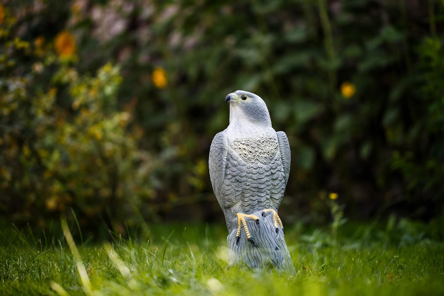 Σκιάχτρο Ομοίωμα Γερακιού - Φυσικό Απωθητικό Τρωκτικών & Πτηνών Σκιάχτρο Ομοίωμα Γερακιού - Φυσικό Απωθητικό Τρωκτικών & Πτηνών