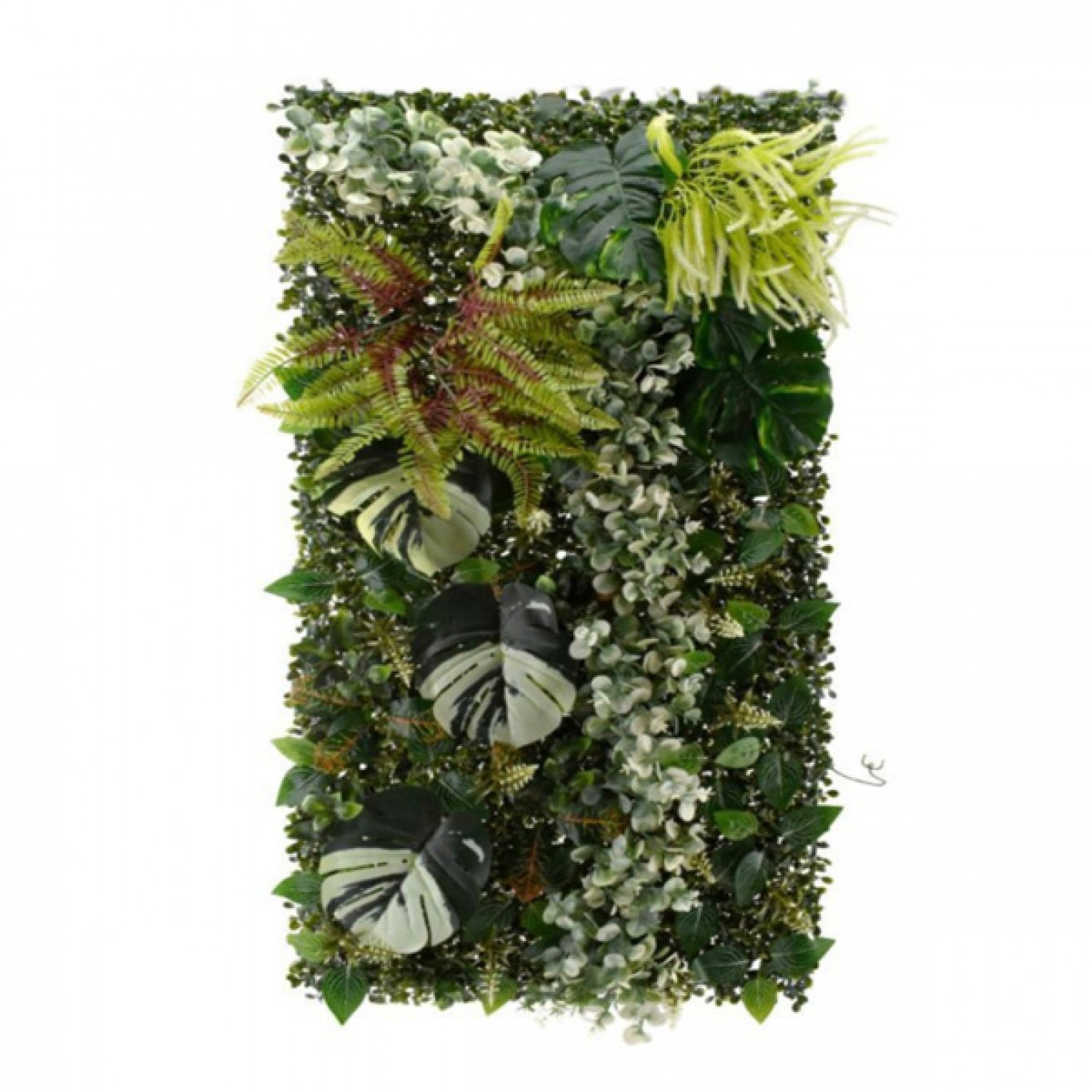 Τεχνητή Φυλλωσιά 100x50cm με Μονστέρα, Φτέρη και Πιλεία Τεχνητή Φυλλωσιά 100x50cm με Μονστέρα, Φτέρη και Πιλεία