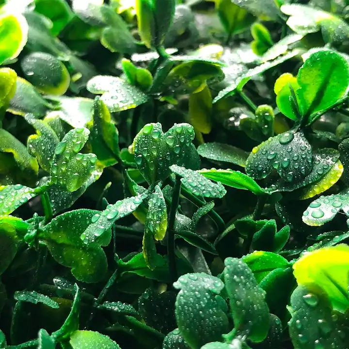 Τεχνητή Φυλλωσιά 40Χ60 με Μικρά Συνθετικά Πράσινα Φυλλαράκια Τεχνητή Φυλλωσιά 40Χ60 με Μικρά Συνθετικά Πράσινα Φυλλαράκια