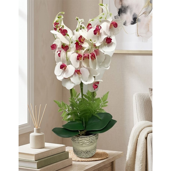 Τεχνητό Διακοσμητικό Φυτό 60cm με Γλάστρα Τεχνητό Διακοσμητικό Φυτό 60cm με Γλάστρα