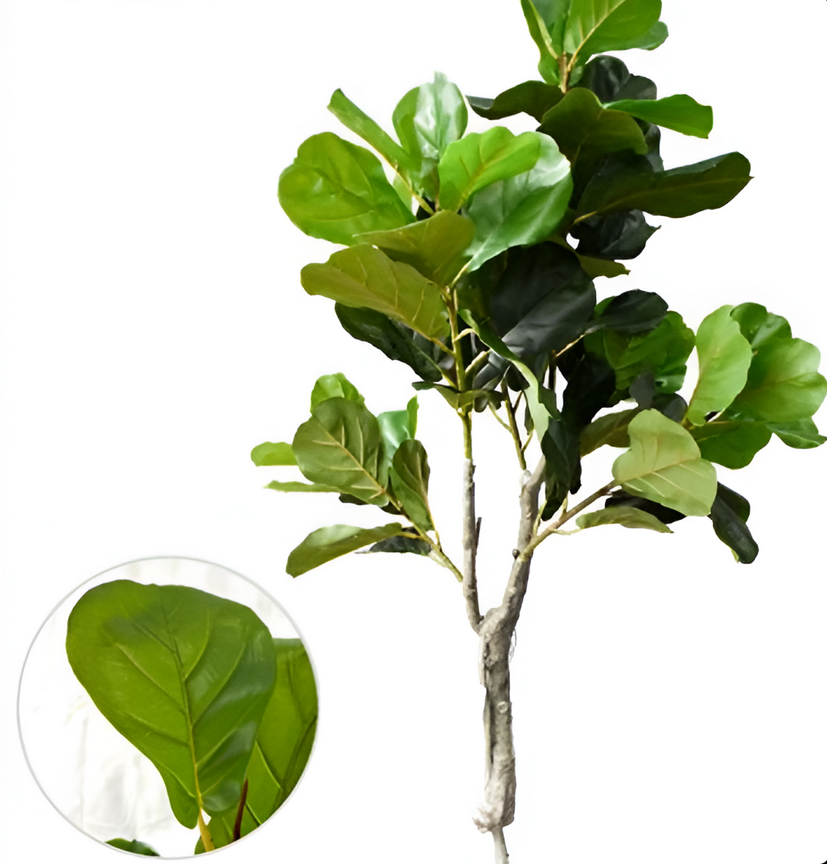 Τεχνητό Διακοσμητικό Φυτό Φίκος Λυράτα 155cm Πυκνό Home Theory Τεχνητό Διακοσμητικό Φυτό Φίκος Λυράτα 155cm Πυκνό Home Theory