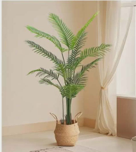 Τεχνητό Διακοσμητικό Φυτό Φοίνικας 150cm – Ρεαλιστικός Tropical Palm Τεχνητό Διακοσμητικό Φυτό Φοίνικας 150cm – Ρεαλιστικός Tropical Palm