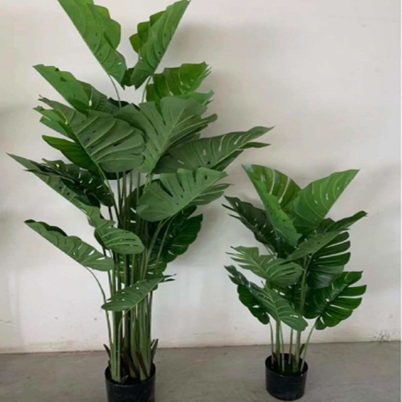 Τεχνητό Διακοσμητικό Φυτό Μονστέρα σε Γλάστρα 150cm Τεχνητό Διακοσμητικό Φυτό Μονστέρα σε Γλάστρα 150cm