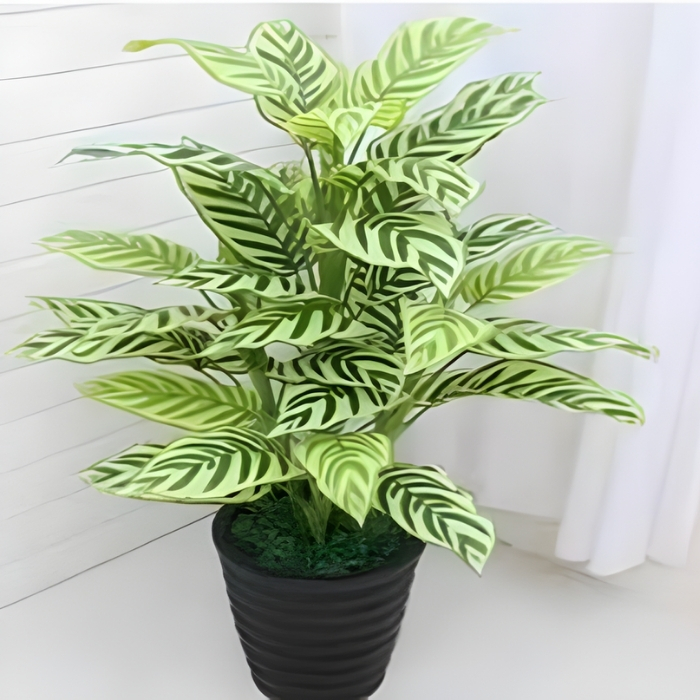 Τεχνητό Διακοσμητικό Φυτό Yellow Velvet 90cm σε Γλαστράκι Τεχνητό Διακοσμητικό Φυτό Yellow Velvet 90cm σε Γλαστράκι