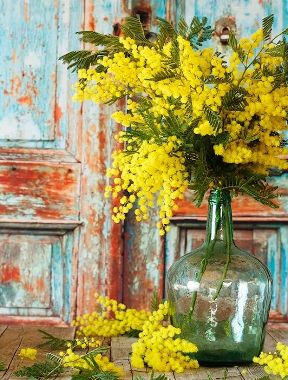 Τεχνητό Διακοσμητικό Λουλούδι Μιμόζα/Γαζία - Artificial Flower 86cm Τεχνητό Διακοσμητικό Λουλούδι Μιμόζα/Γαζία - Artificial Flower 86cm