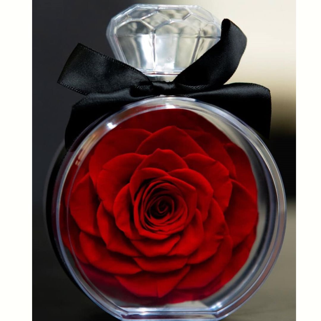 Τεχνητό Κόκκινο Τριαντάφυλλο σε Κουτί Δώρου 15 × 10.5 cm Τεχνητό Κόκκινο Τριαντάφυλλο σε Κουτί Δώρου 15 × 10.5 cm