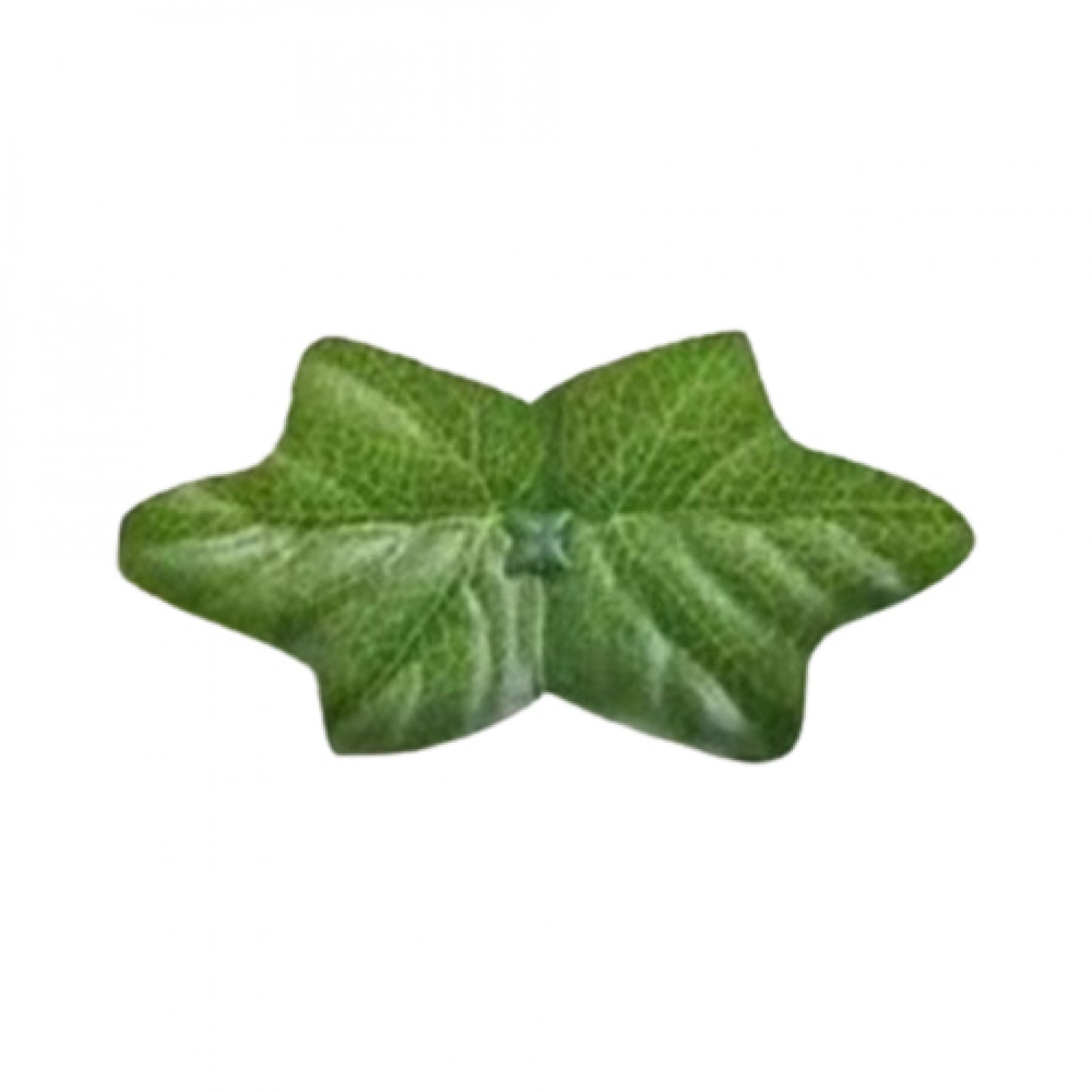 Τεχνητός Φράχτης 300x100cm Εξωτερικού Χώρου με Φύλλωμα Τεχνητός Φράχτης 300x100cm Εξωτερικού Χώρου με Φύλλωμα