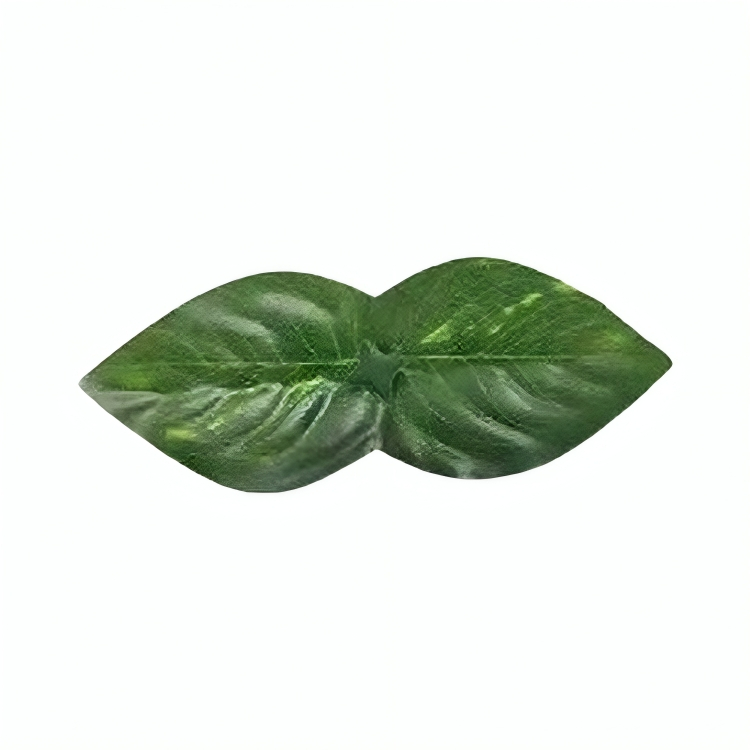 Τεχνητός Φράχτης 300x100cm Εξωτερικού Χώρου με Φύλλωμα Τεχνητός Φράχτης 300x100cm Εξωτερικού Χώρου με Φύλλωμα