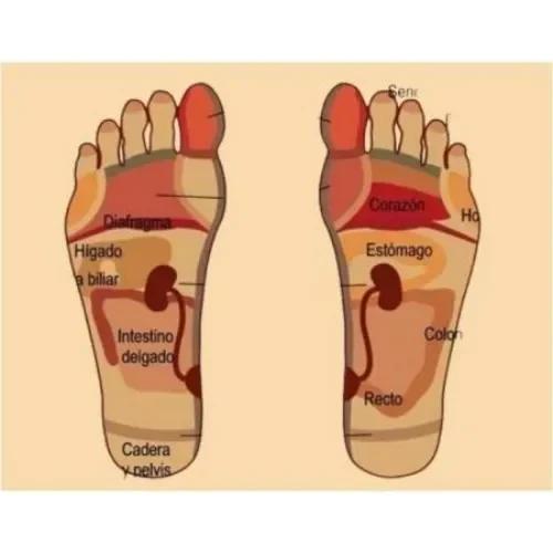 Θερμαινόμενη Συσκευή Για Μασαζ Ποδιών Με Λειτουργία Πρεσσοθεραπείας-Shiatsu Θερμαινόμενη Συσκευή Για Μασαζ Ποδιών Με Λειτουργία Πρεσσοθεραπείας-Shiatsu