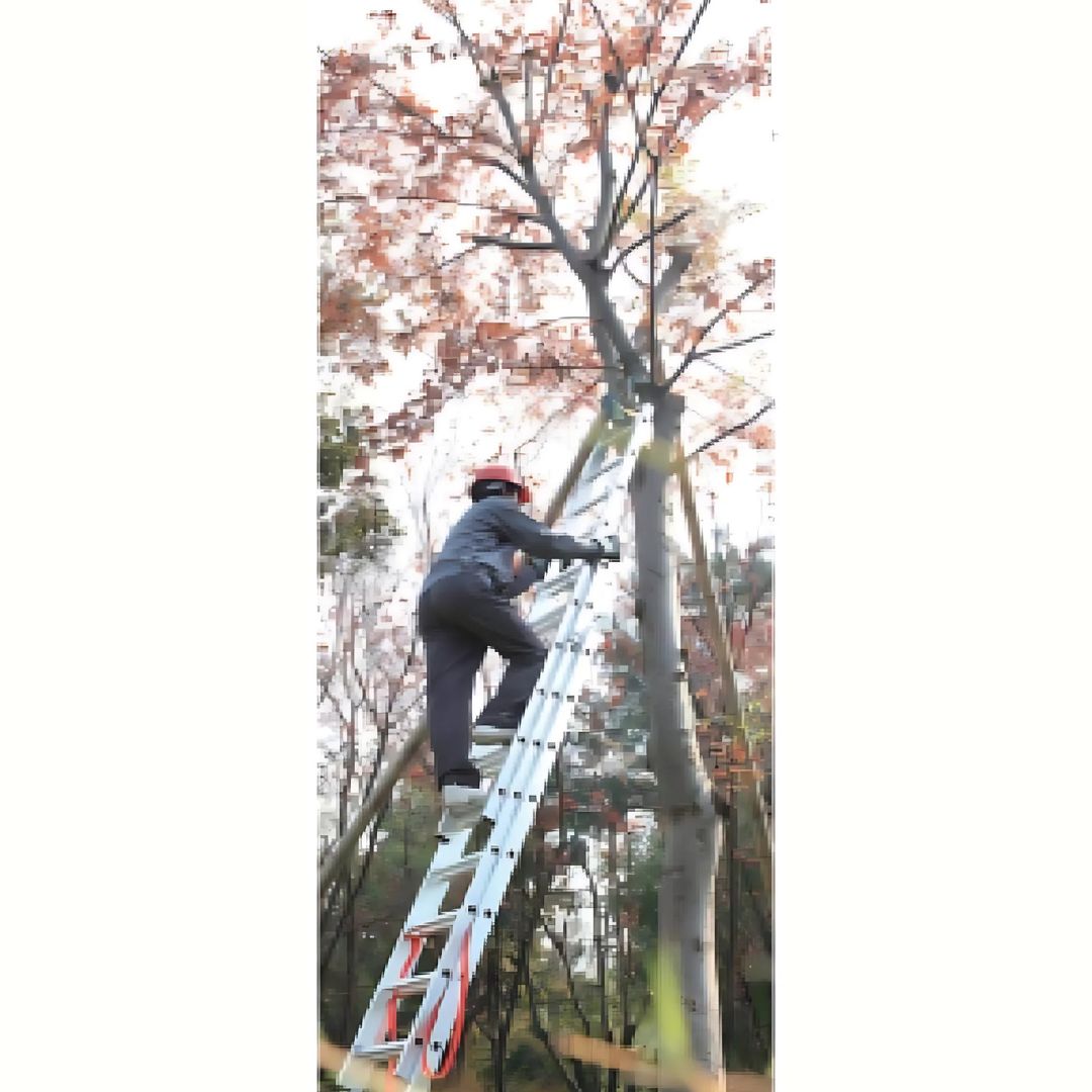 Τριπλή Σκάλα Αλουμινίου 3 x 6 Μέγιστης Αντοχής 150kg Τριπλή Σκάλα Αλουμινίου 3 x 6 Μέγιστης Αντοχής 150kg