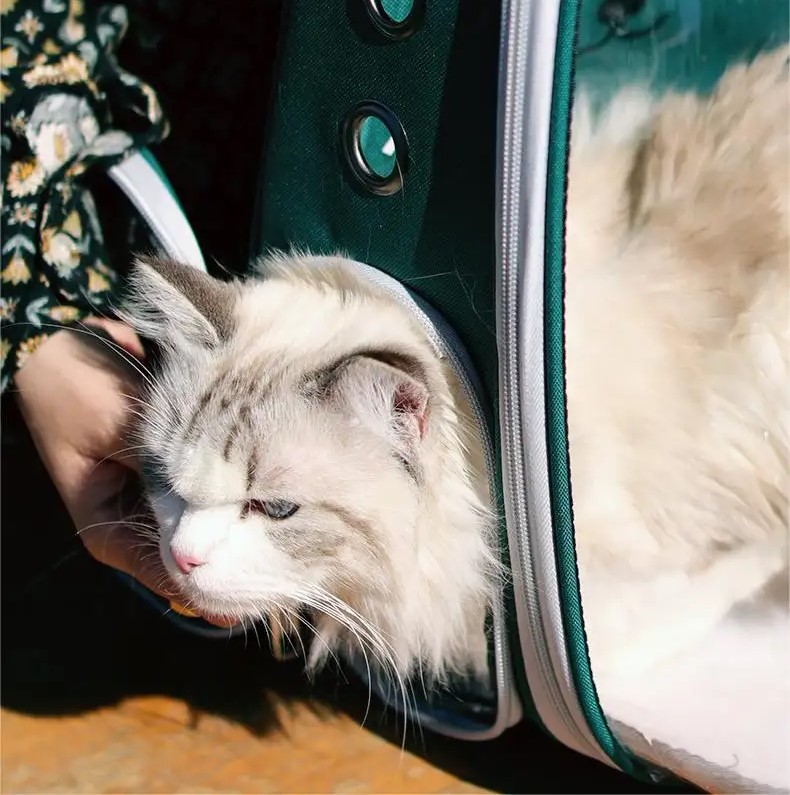 Τσάντα Πλάτης για Μεταφορά Μικρών Κατοικίδιων με Διαφανή Όψη - 40x36x27cm Τσάντα Πλάτης για Μεταφορά Μικρών Κατοικίδιων με Διαφανή Όψη - 40x36x27cm