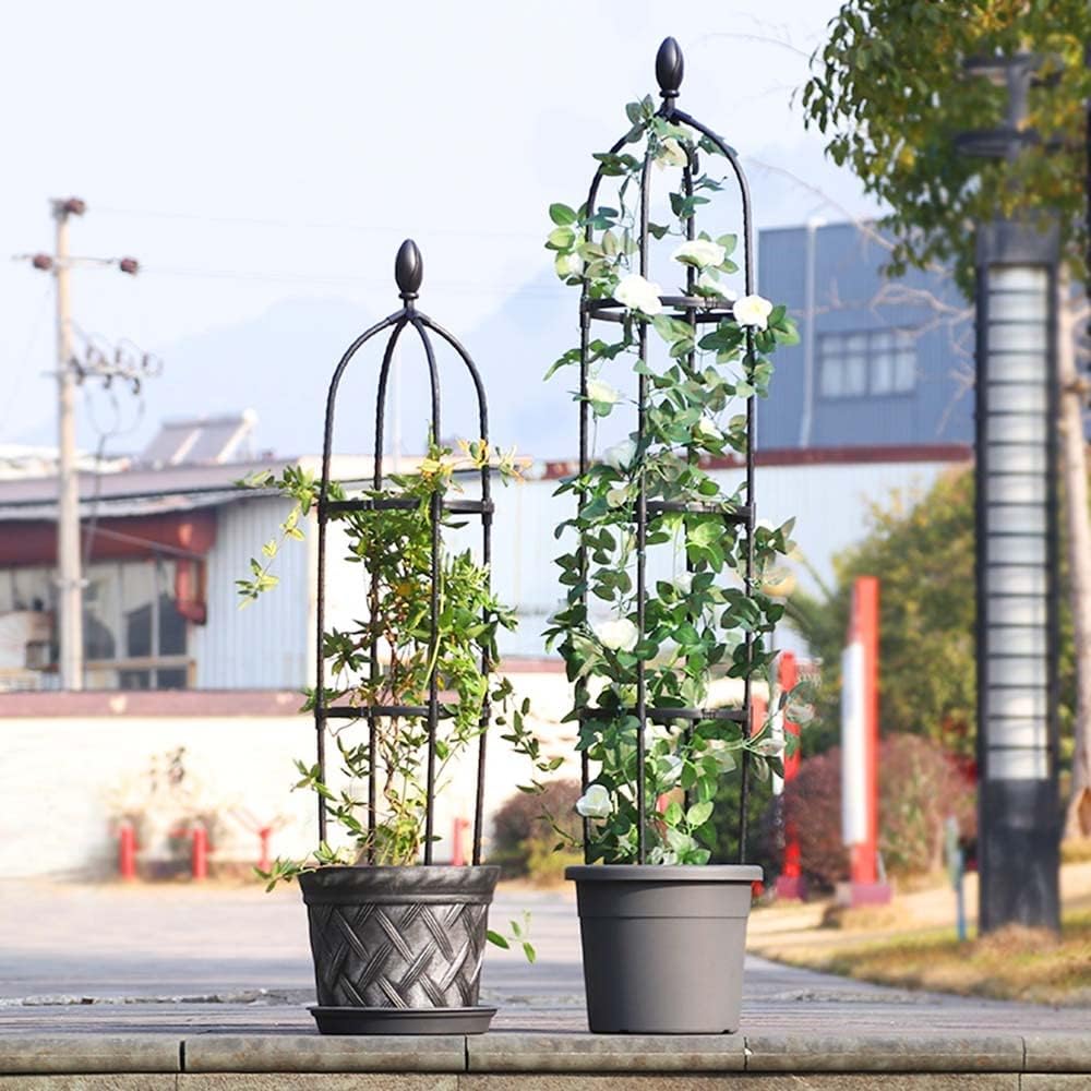 Βάση Στήριξης Αναρριχόμενων Φυτών για Γλάστρα - 31x170cm Βάση Στήριξης Αναρριχόμενων Φυτών για Γλάστρα - 31x170cm