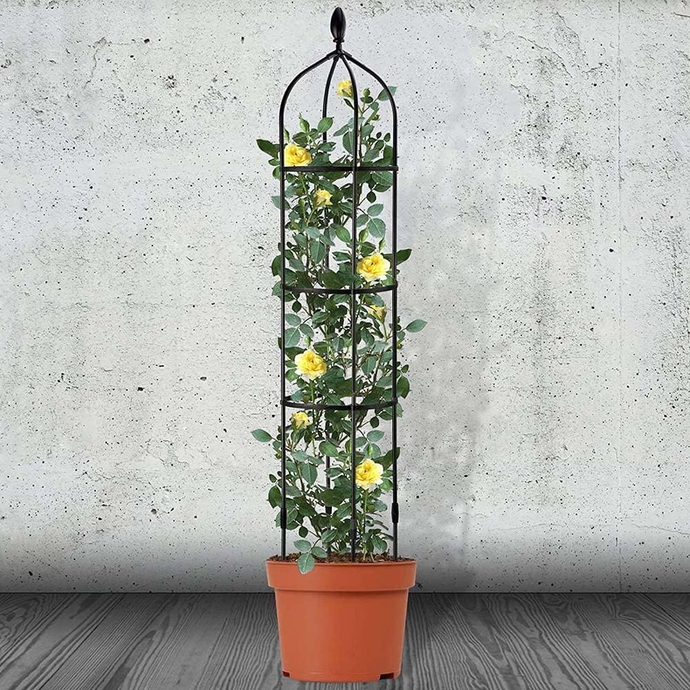 Βάση Στήριξης Αναρριχόμενων Φυτών για Γλάστρα - 31x170cm Βάση Στήριξης Αναρριχόμενων Φυτών για Γλάστρα - 31x170cm