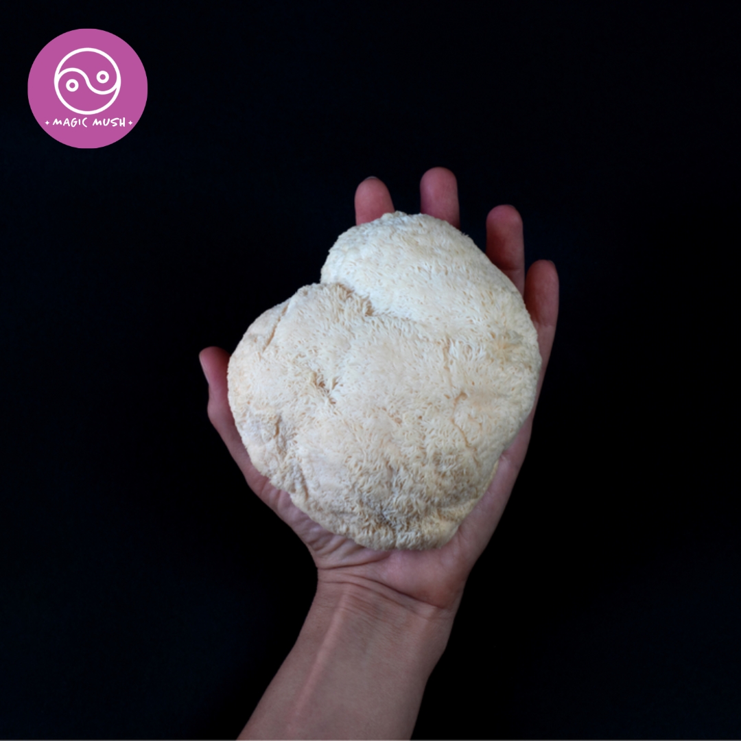 Mushroom SuperBlend Mushroom SuperBlend