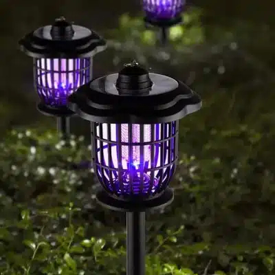 Χωνευτή Ηλιακή Εντομοπαγίδα Εδάφους Χωνευτή Ηλιακή Εντομοπαγίδα Εδάφους